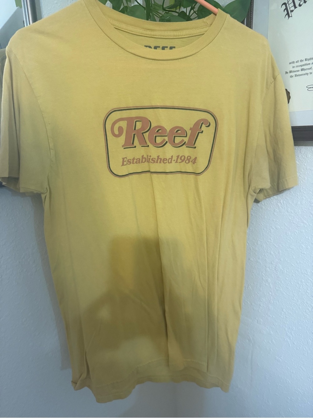 Reef Short-Sleeve Logo Tee in Mustard Yellow